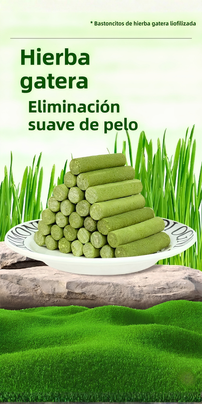 Comprar barritas dentales para gato envio a todo Mexico