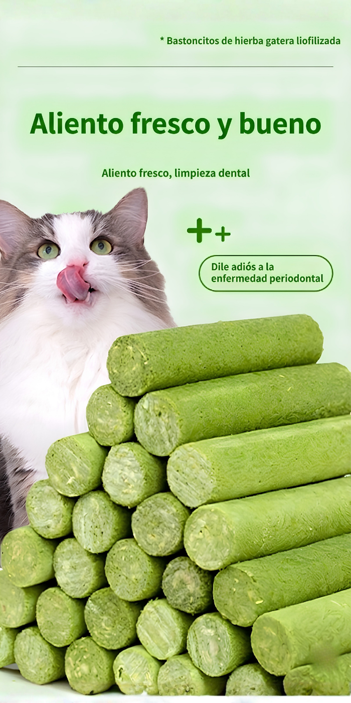 Premio dental para gato relaja y limpia dientes al mismo tiempo