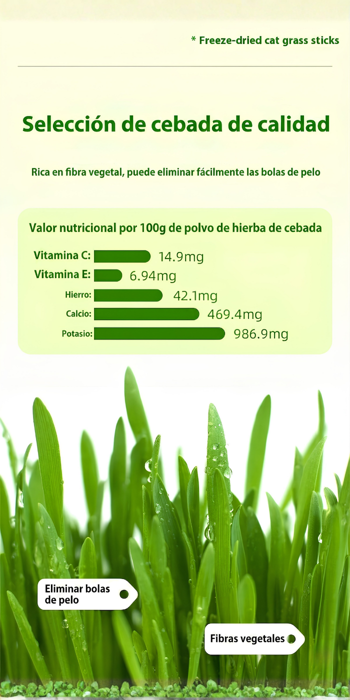 Snack gato sin conservadores hierba gatuna pasto natural