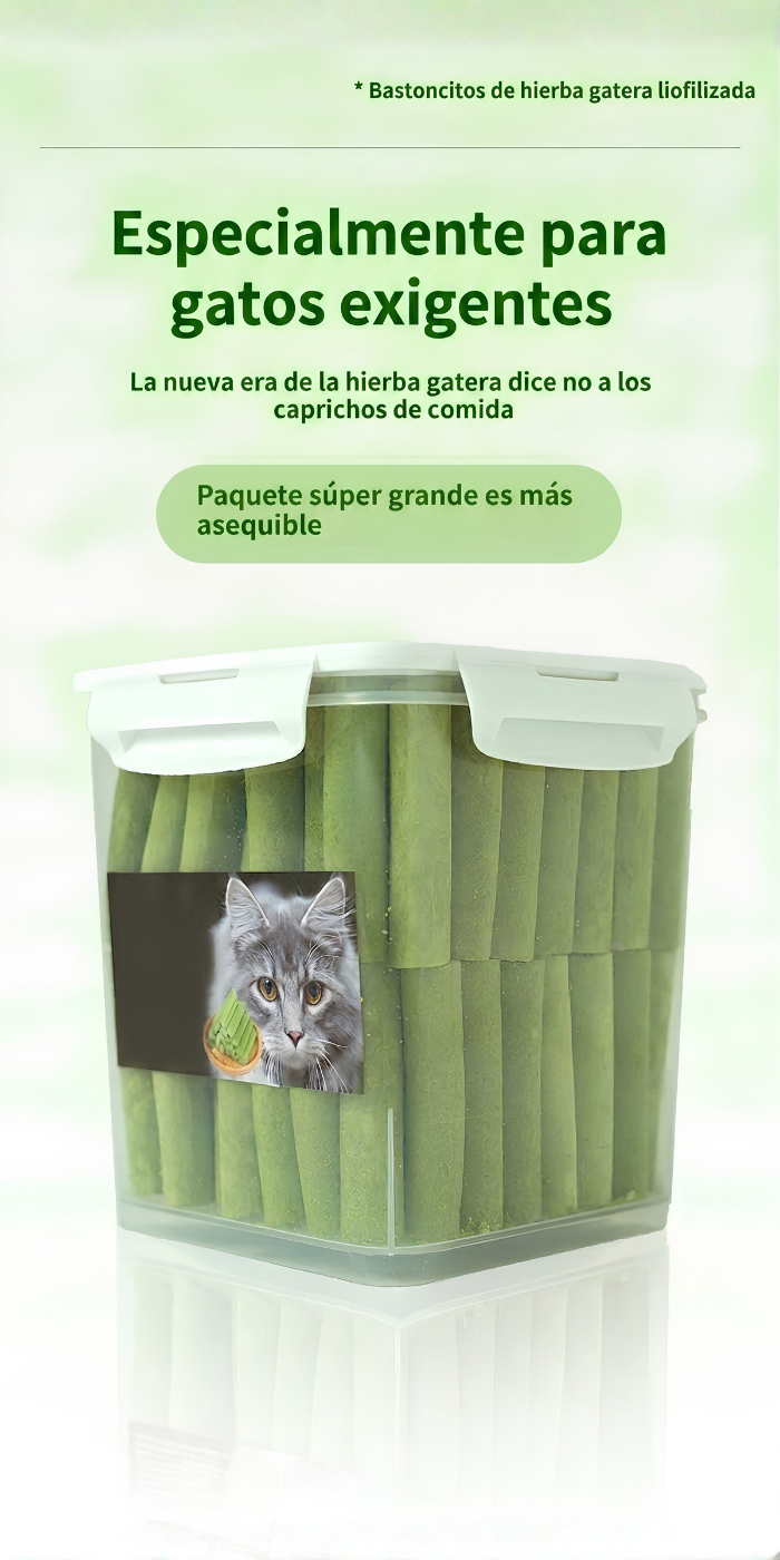 Barritas Dentales de Hierba Gatuna con Pollo Liofilizado — Limpieza y Adiós Bolas de Pelo