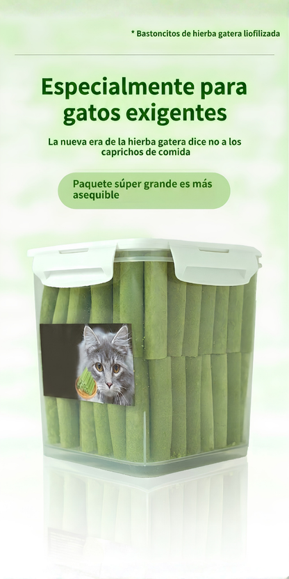 Barritas Dentales de Hierba Gatuna con Pollo Liofilizado — Limpieza y Adiós Bolas de Pelo