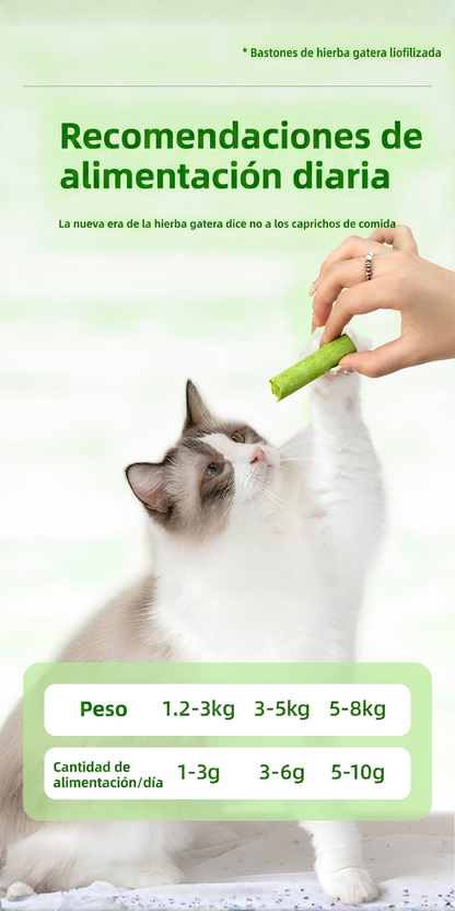 Garantia 30 dias snack dental premium para gato mexicano