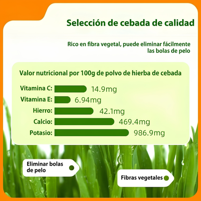 Barritas de pasto gatuno eliminan bolas de pelo naturalmente