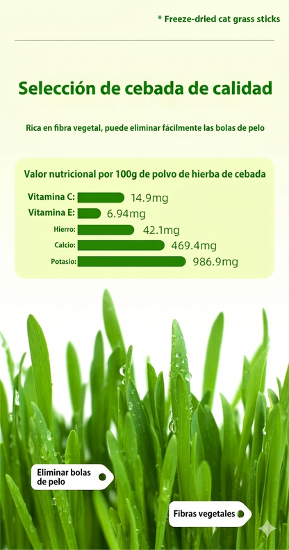 MimosPets – Barritas Dentales de Hierba Gatuna para Gatos | Limpieza Dental Natural