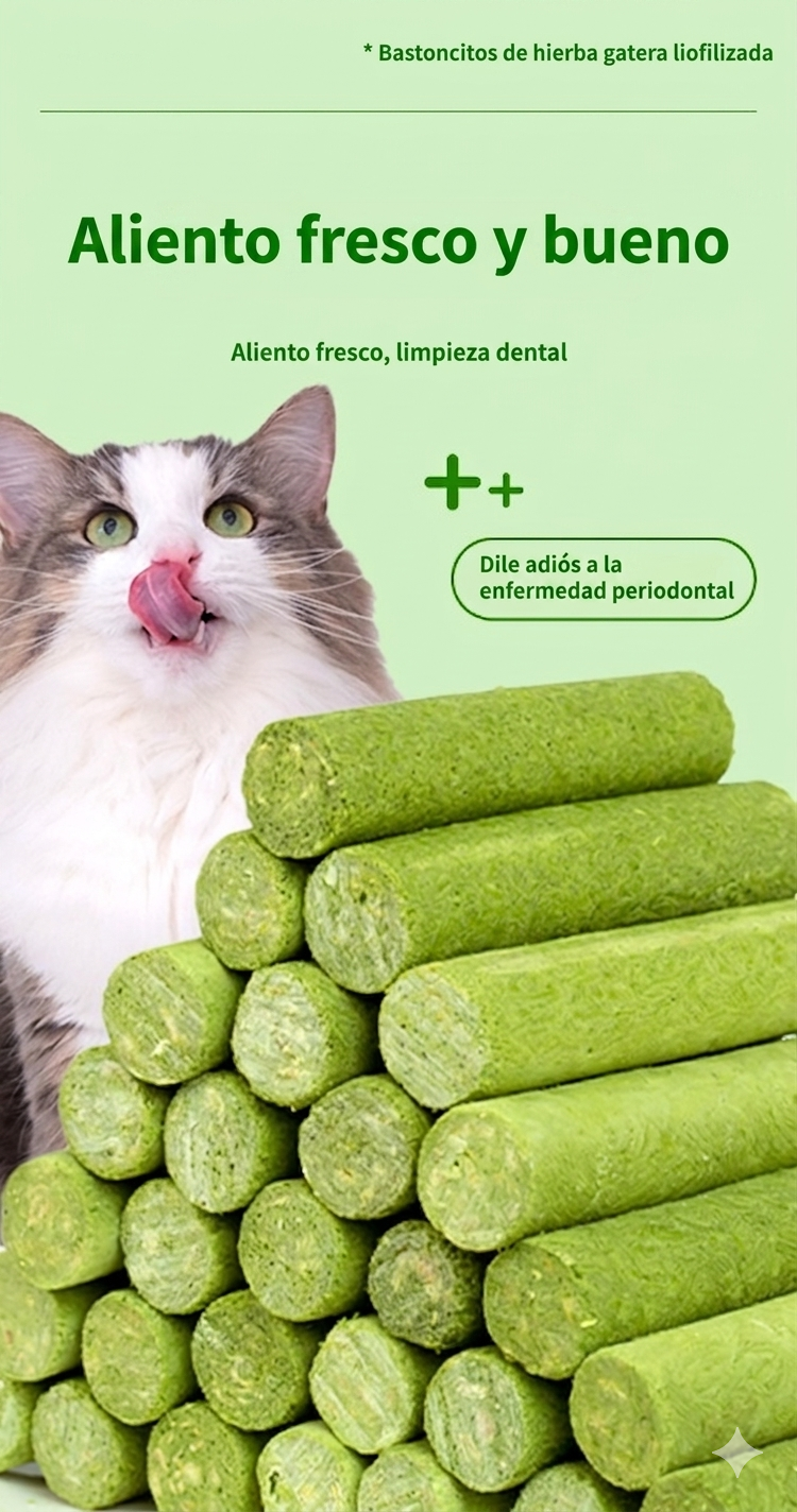 MimosPets – Barritas Dentales de Hierba Gatuna para Gatos | Limpieza Dental Natural
