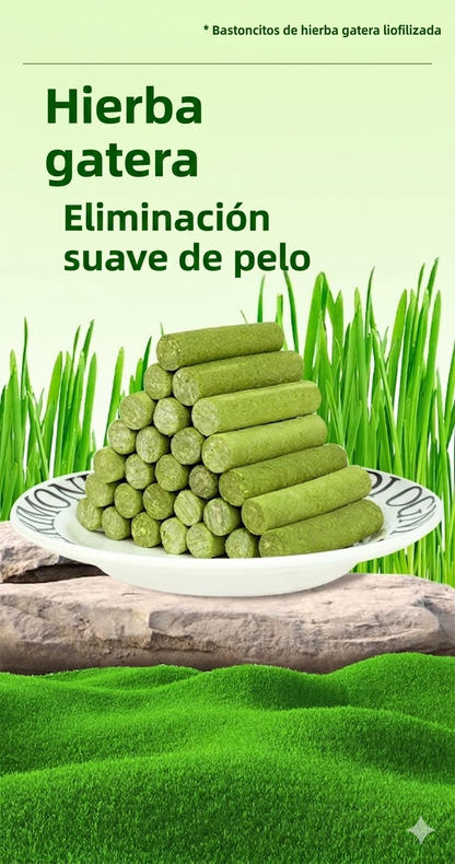 MimosPets – Barritas Dentales de Hierba Gatuna para Gatos | Limpieza Dental Natural