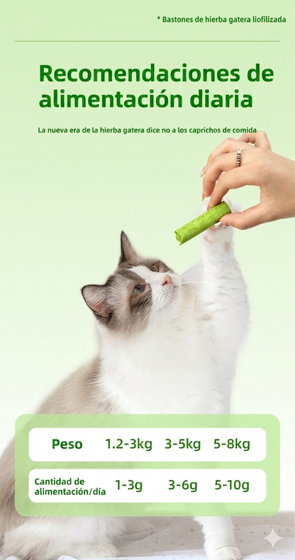 MimosPets – Barritas Dentales de Hierba Gatuna para Gatos | Limpieza Dental Natural